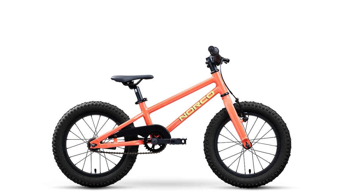 Norco Storm 16 Coaster
