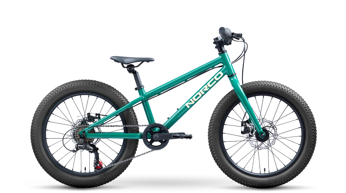 Norco Storm 20 Disc