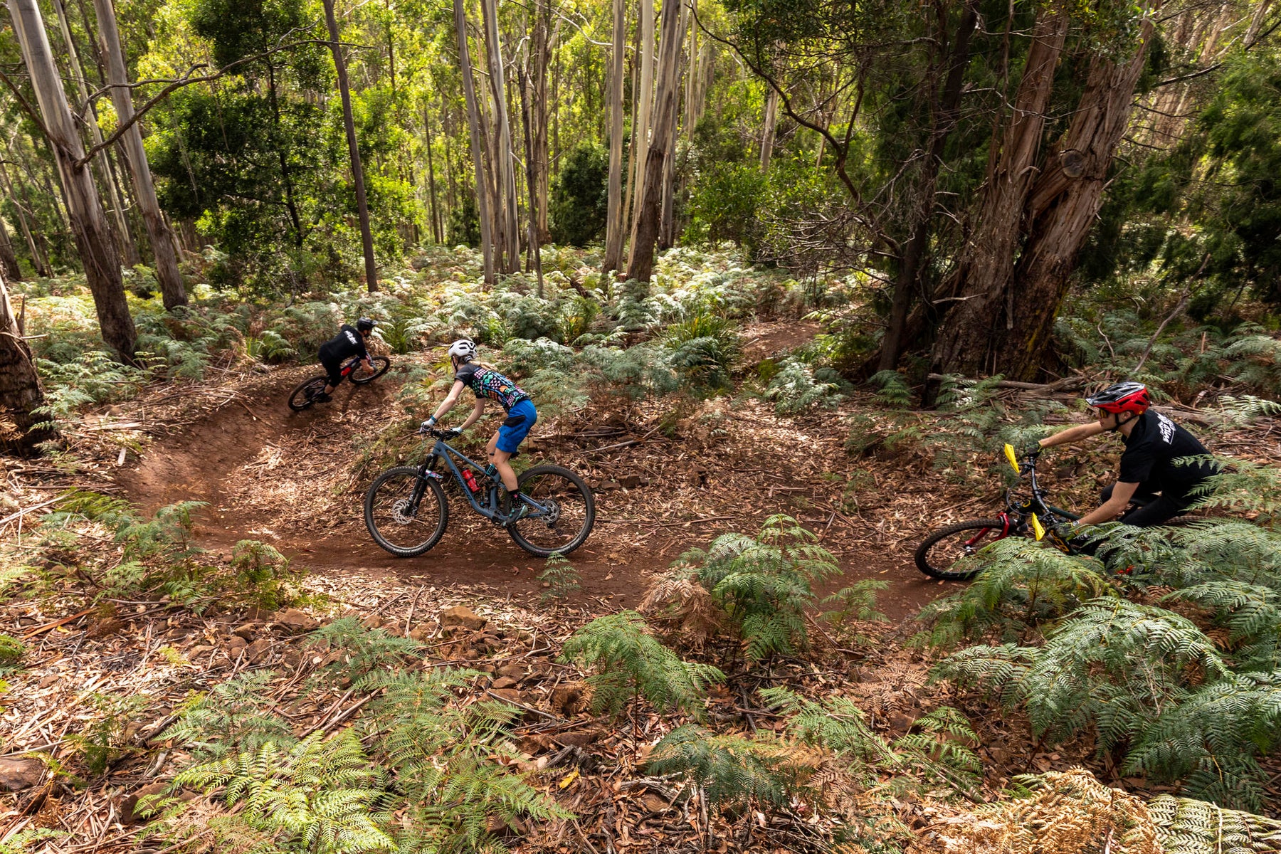 Wild Ride Cycles | Mountain bikes Tasmania