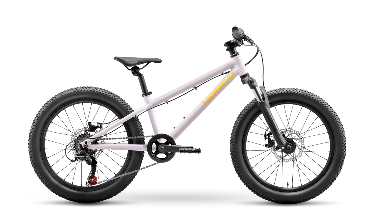 Norco Storm 20