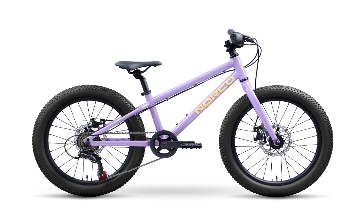 Norco Storm 20 Disc