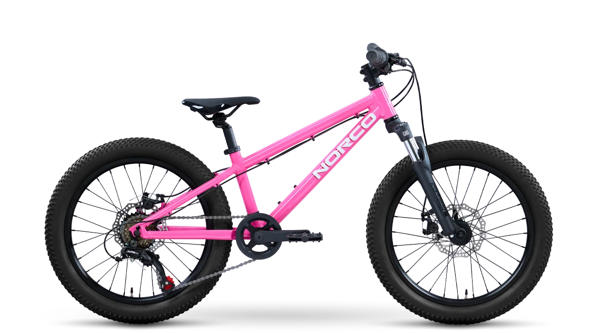 Norco Storm 20