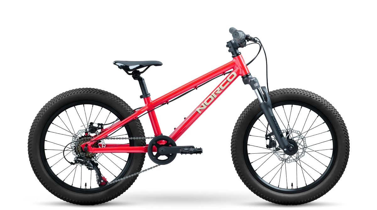 Norco Storm 20